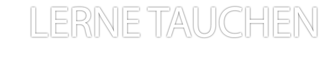 Scuba Diving International